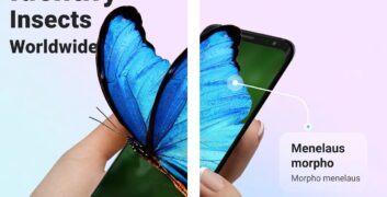 Tải Picture Insect: Bug Identifier MOD (Vô hạn tiền) + APK 2.8.24