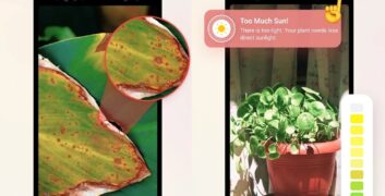 Tải Plant Parent MOD (Mở khóa Premium) + APK 1.46